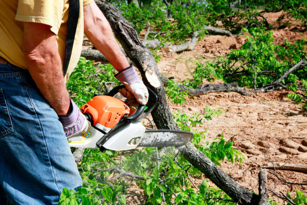 Lawn Grading and Leveling in Galena, KS